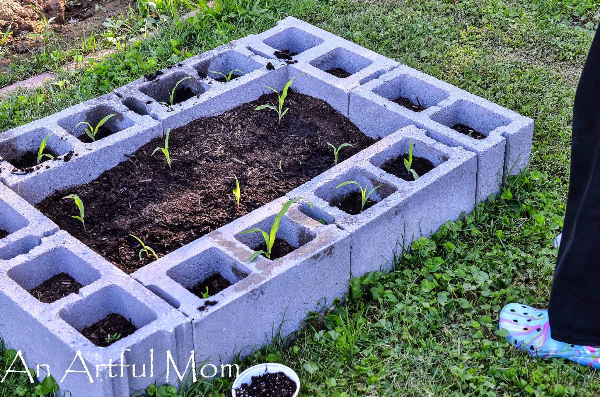 How to Make a Raised Bed Garden with Cinder Blocks