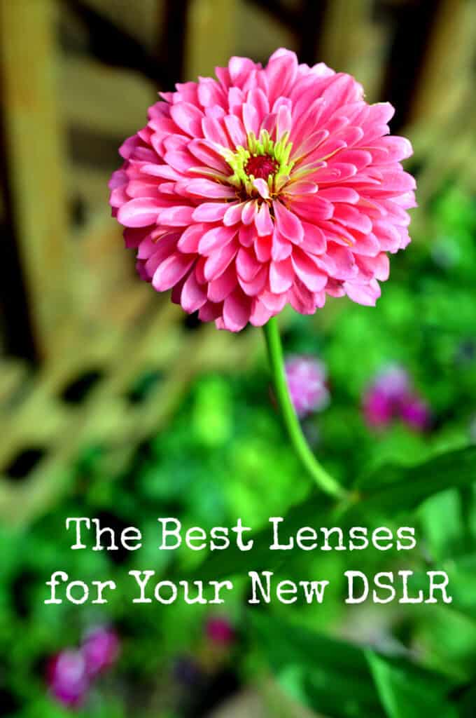 The Best First Lenses for Your New DSLR