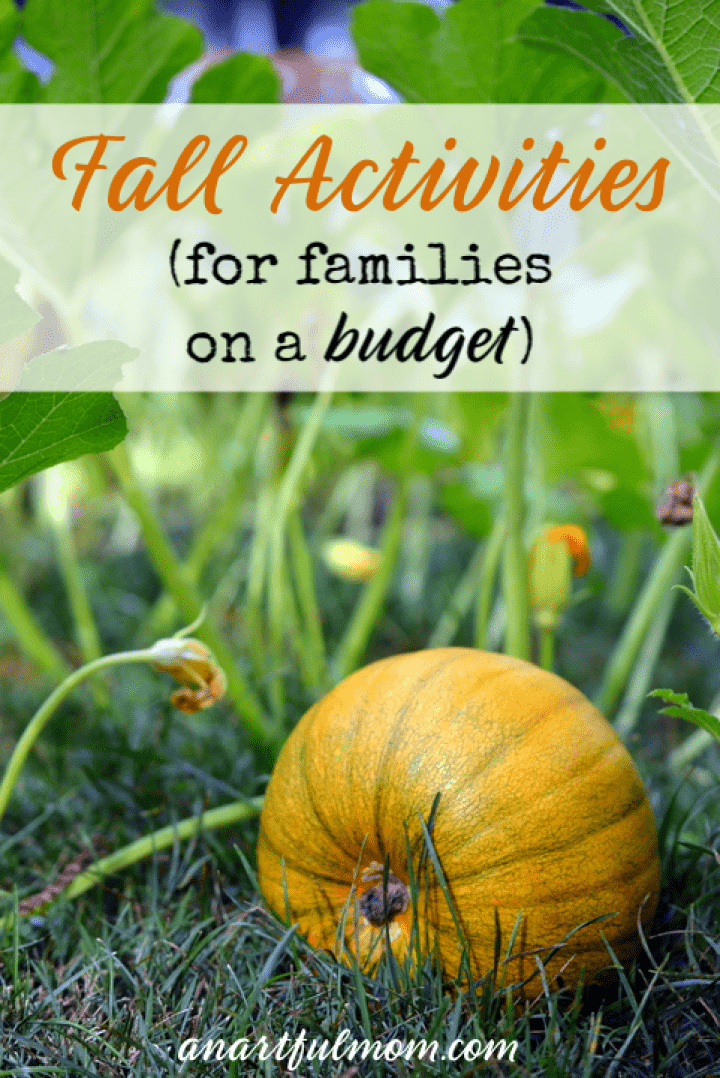 Budget friendly fall activities