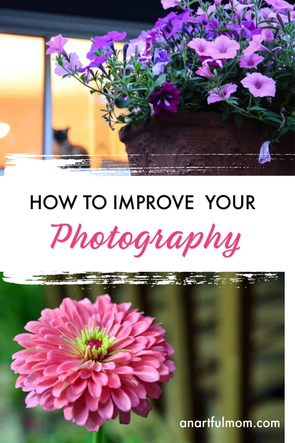 Photography tips for better photos
