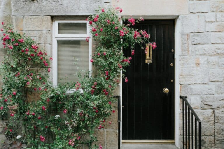How to Make Your Home’s Exterior More Appealing and Improve Curb Appeal