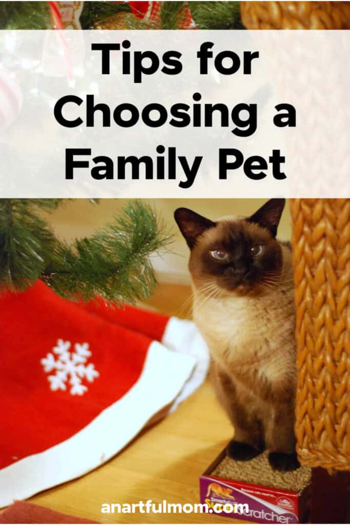 Tips for Choosing a Family Pet
