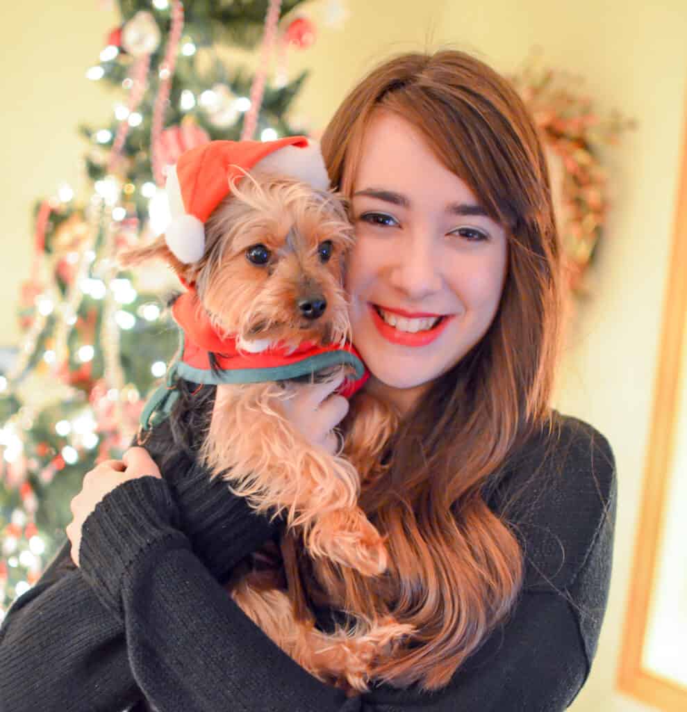 christmas portrait with dog