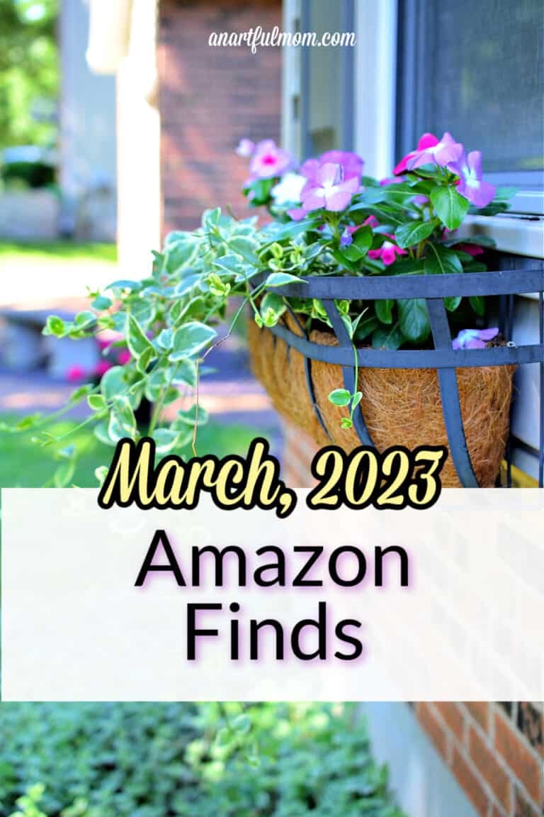 Amazon Finds – March, 2023