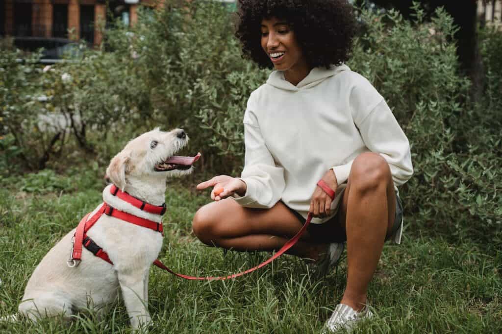 happy dog and owner