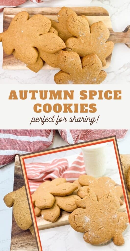 autumn spice cookies